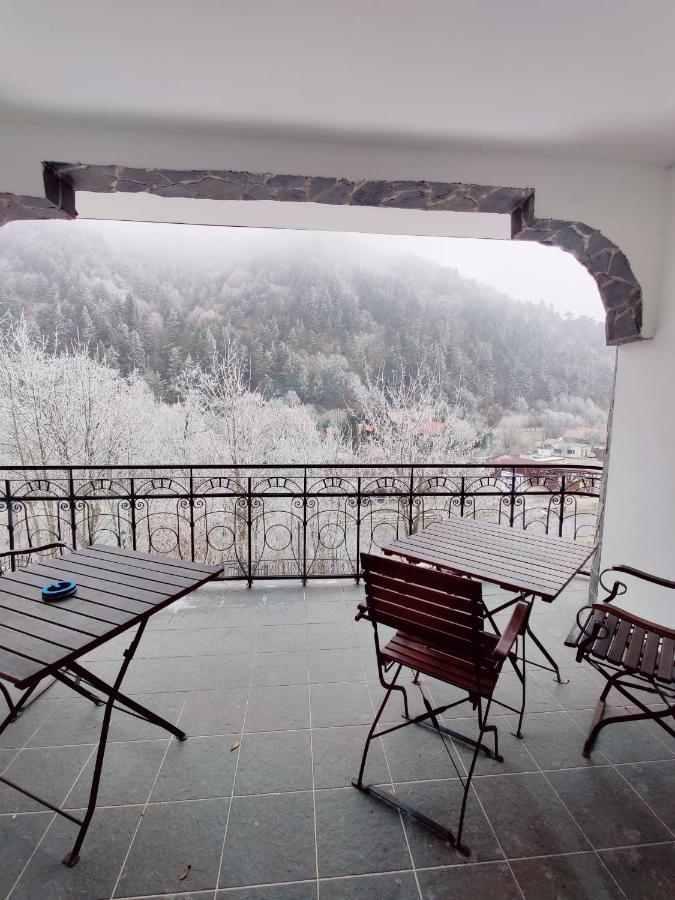 Castle Gate Hotel Bran  Buitenkant foto
